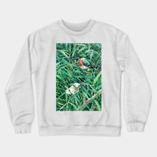 Green Kingfishers in Green Grass Crewneck Sweatshirt